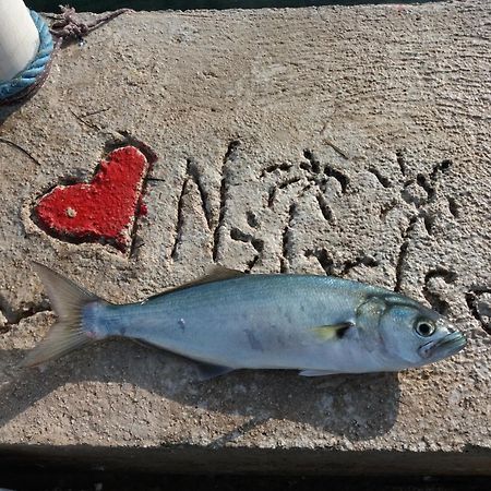 Apartment "I Love Njivice" Herceg Novi Ngoại thất bức ảnh