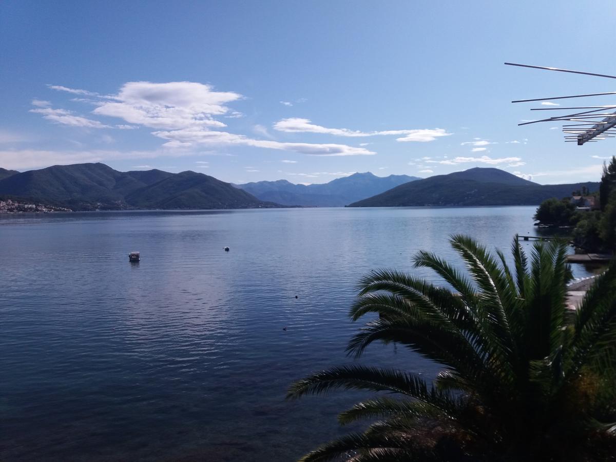 Apartment "I Love Njivice" Herceg Novi Ngoại thất bức ảnh
